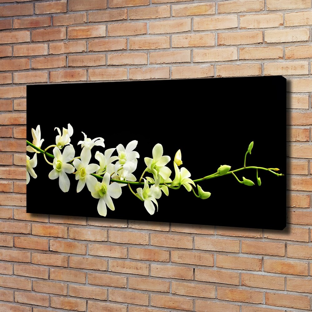 Canvas wall art Orchid