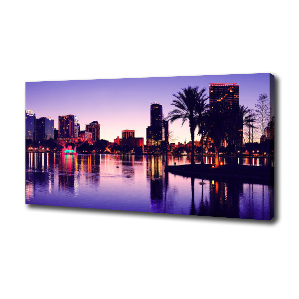 Canvas wall art Orlando USA