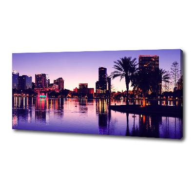 Canvas wall art Orlando USA