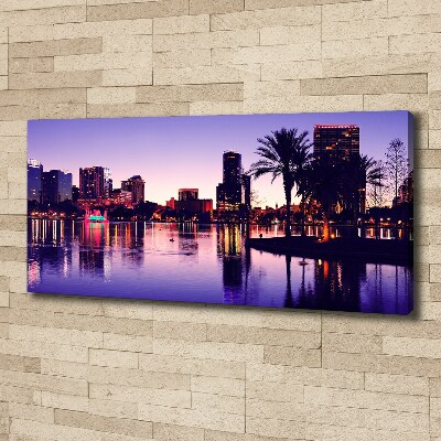 Canvas wall art Orlando USA