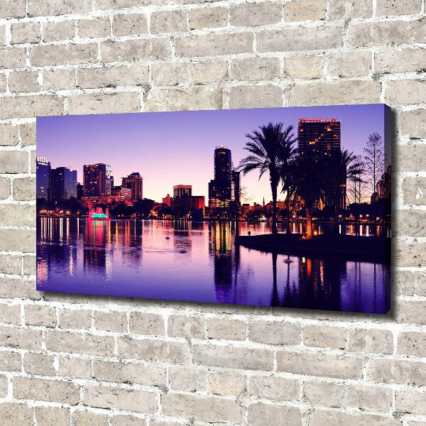 Canvas wall art Orlando USA