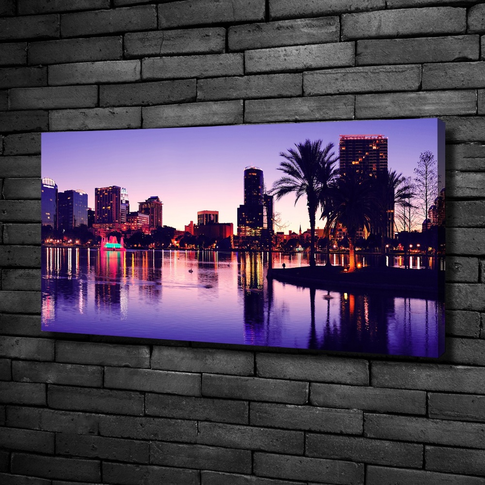 Canvas wall art Orlando USA