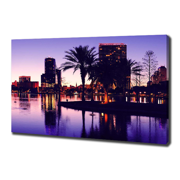 Canvas wall art Orlando USA