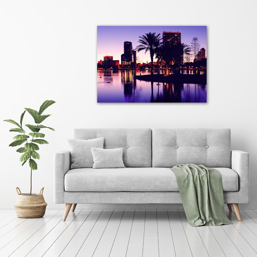 Canvas wall art Orlando USA