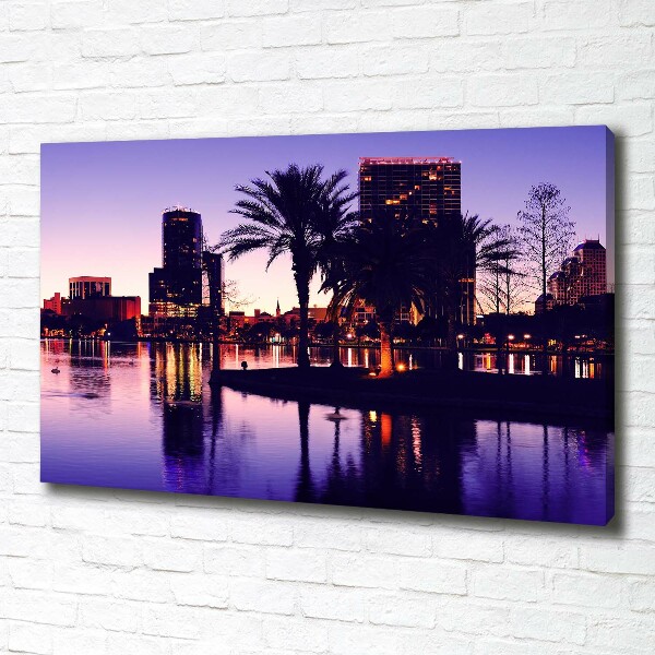 Canvas wall art Orlando USA