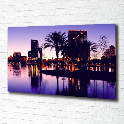 Canvas wall art Orlando USA