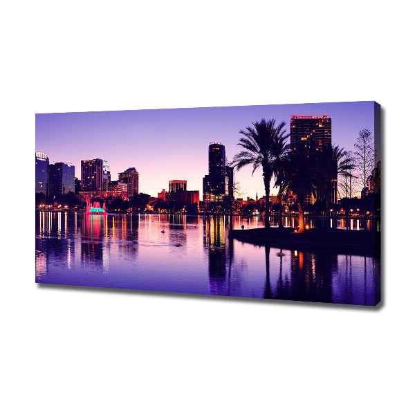 Canvas wall art Orlando USA