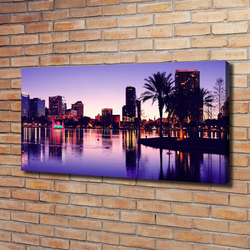 Canvas wall art Orlando USA