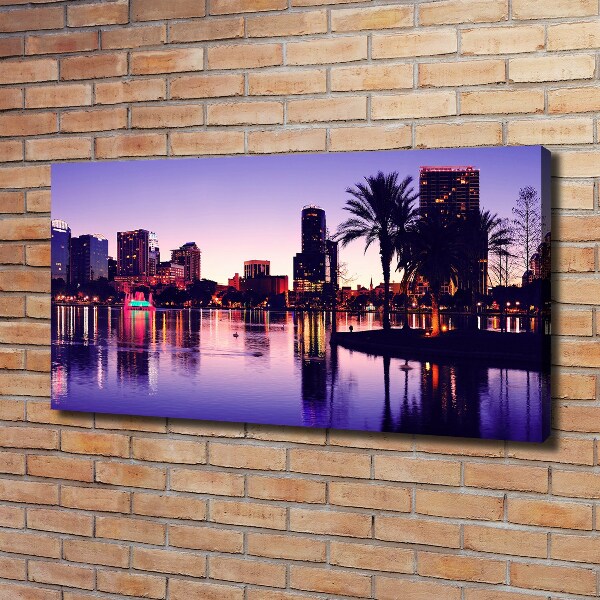 Canvas wall art Orlando USA