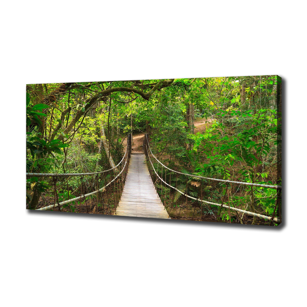 Canvas wall art Rope bridge