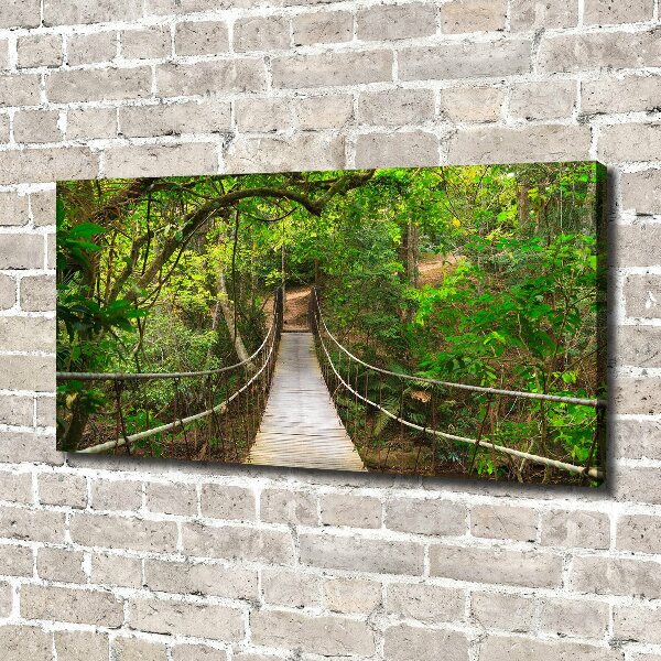 Canvas wall art Rope bridge