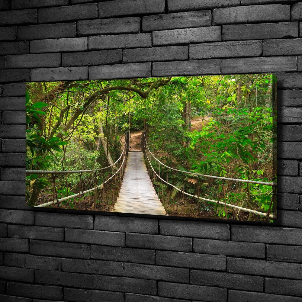 Canvas wall art Rope bridge