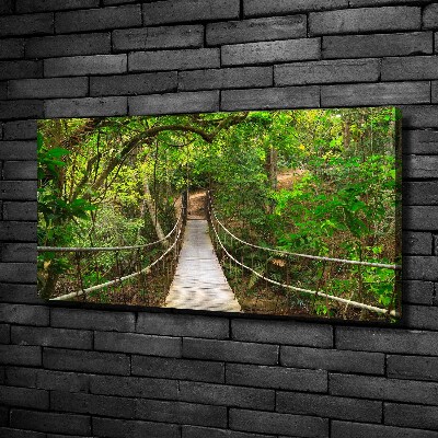 Canvas wall art Rope bridge