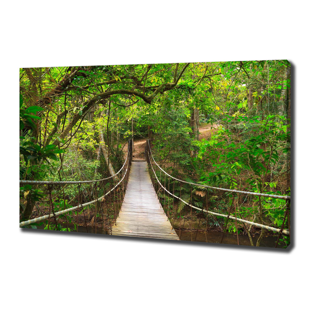 Canvas wall art Rope bridge