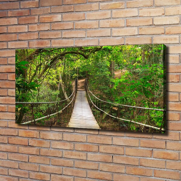 Canvas wall art Rope bridge