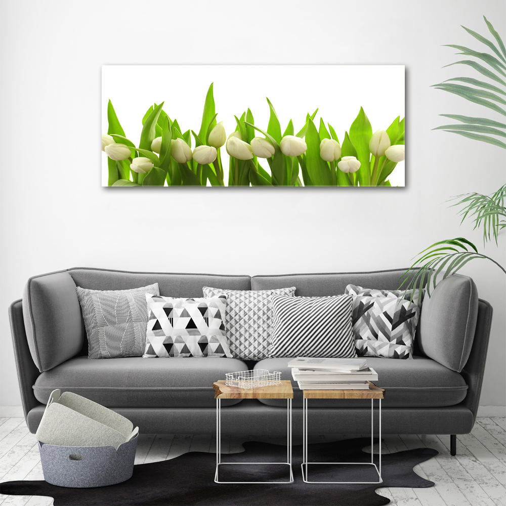 Canvas wall art White tulips