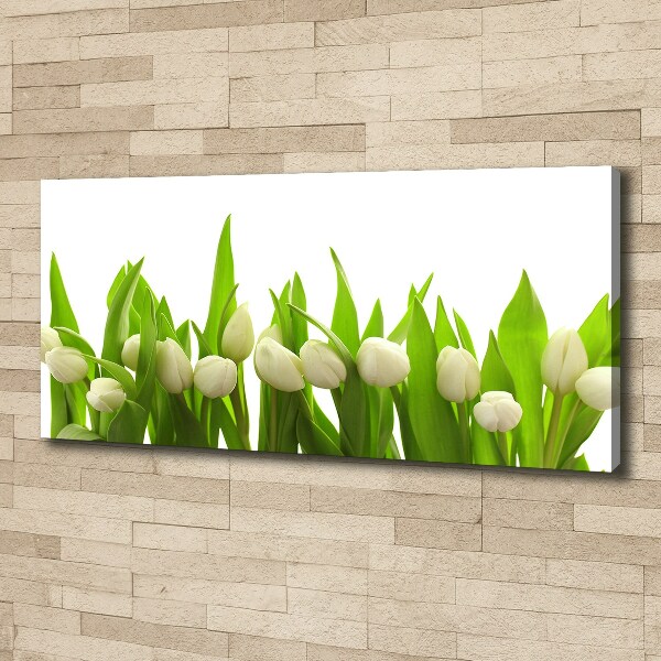 Canvas wall art White tulips