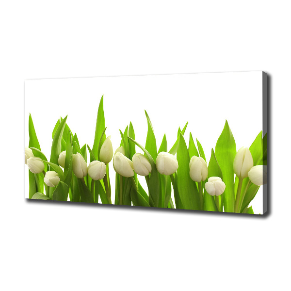 Canvas wall art White tulips