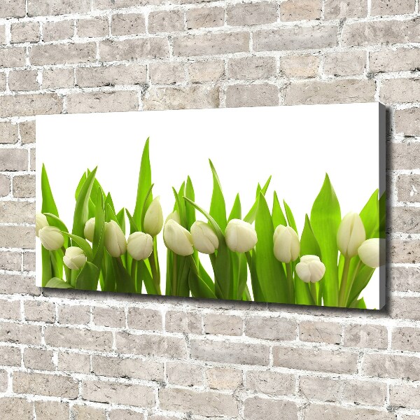 Canvas wall art White tulips