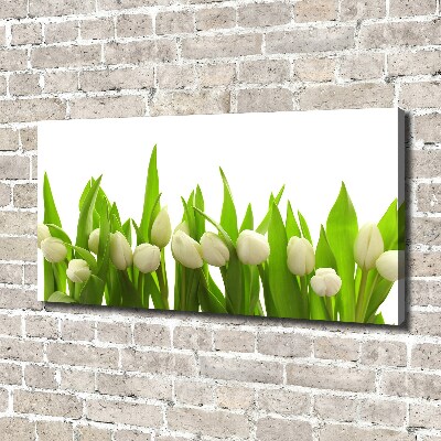 Canvas wall art White tulips