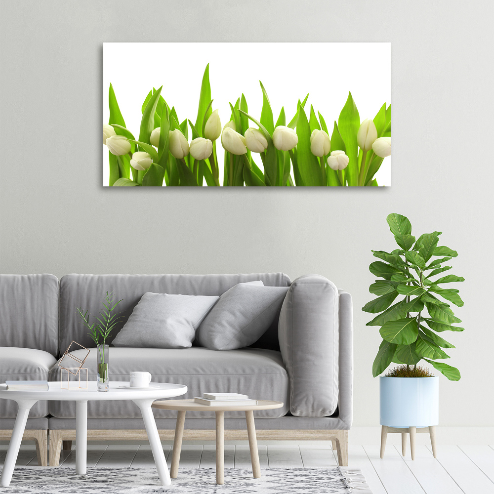 Canvas wall art White tulips