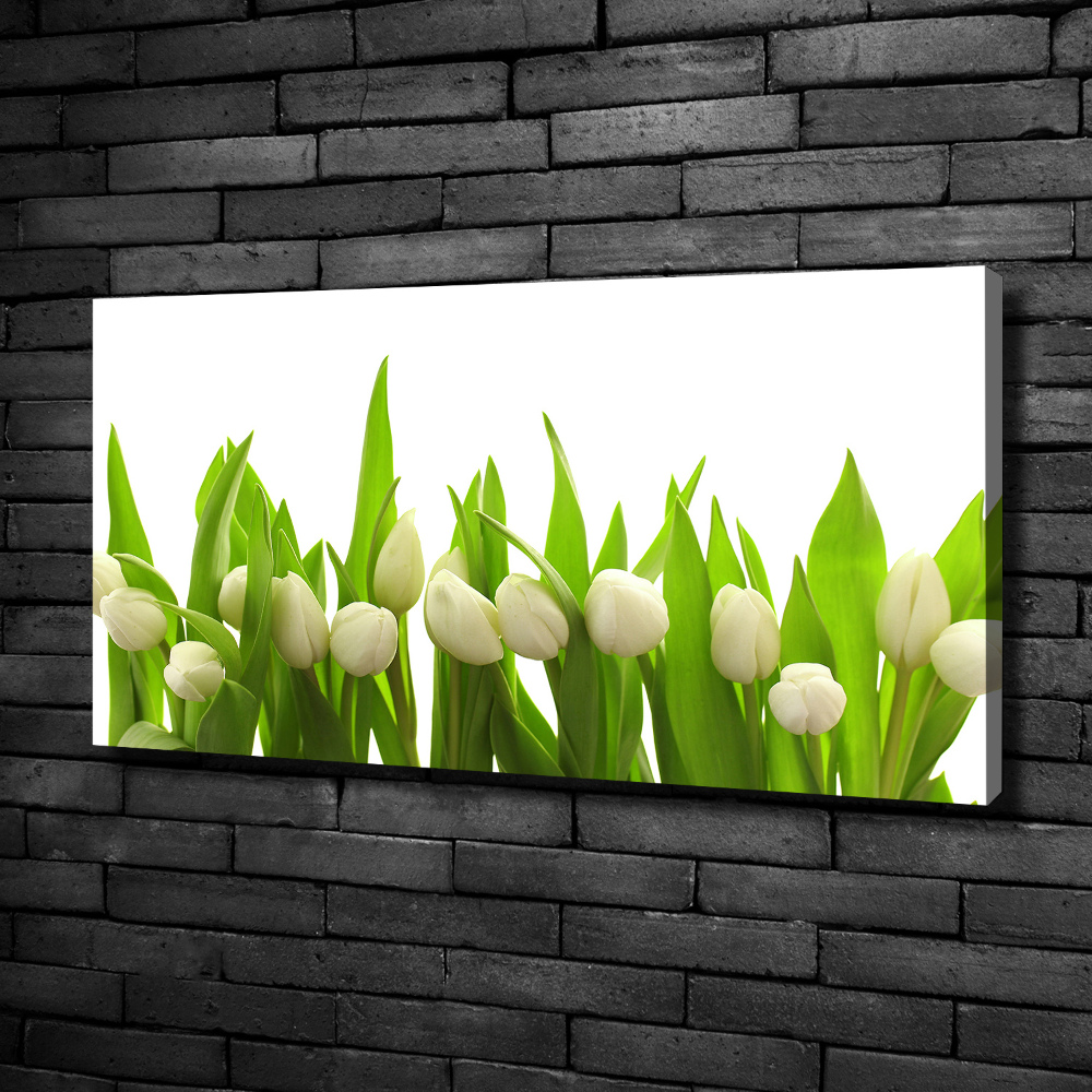 Canvas wall art White tulips