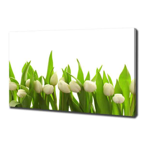 Canvas wall art White tulips