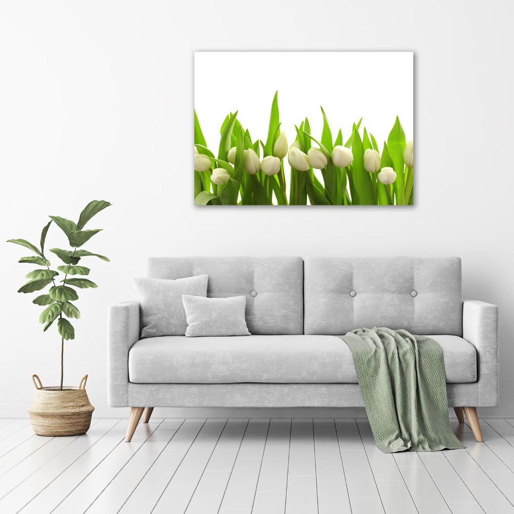 Canvas wall art White tulips