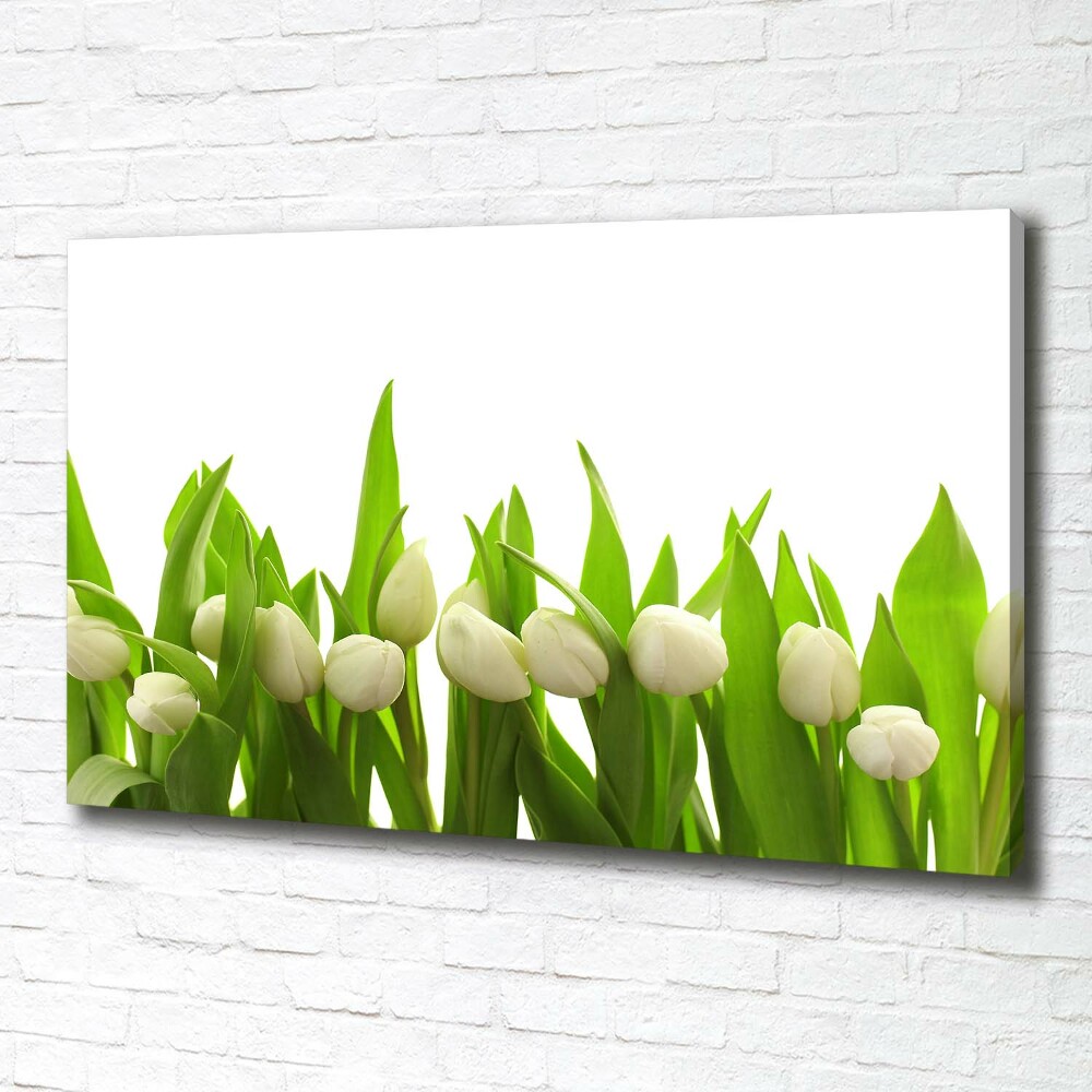 Canvas wall art White tulips