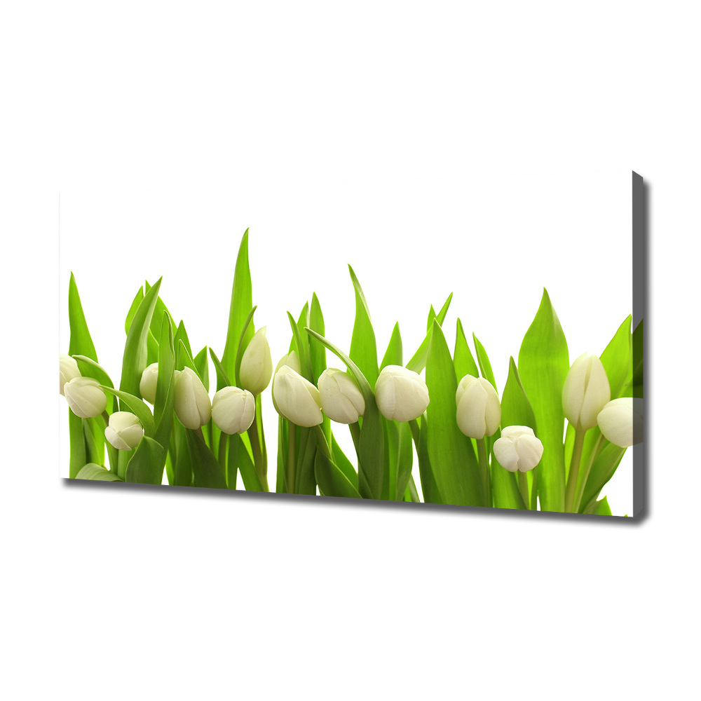 Canvas wall art White tulips