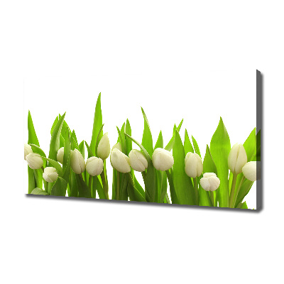 Canvas wall art White tulips