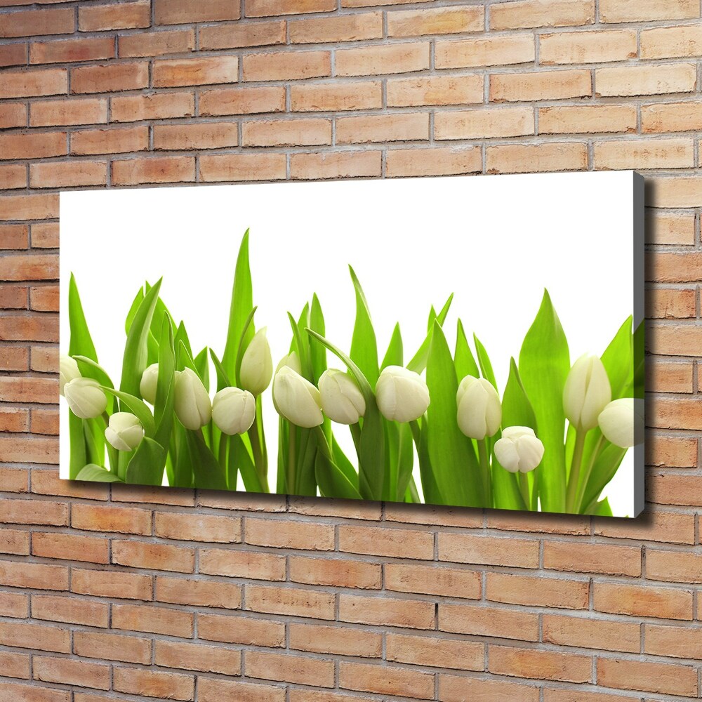 Canvas wall art White tulips