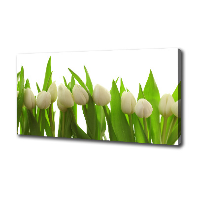 Canvas wall art White tulips