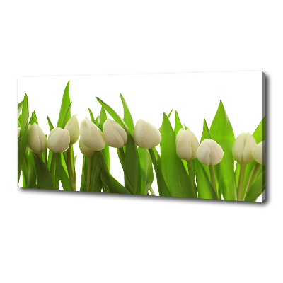 Canvas wall art White tulips