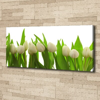 Canvas wall art White tulips