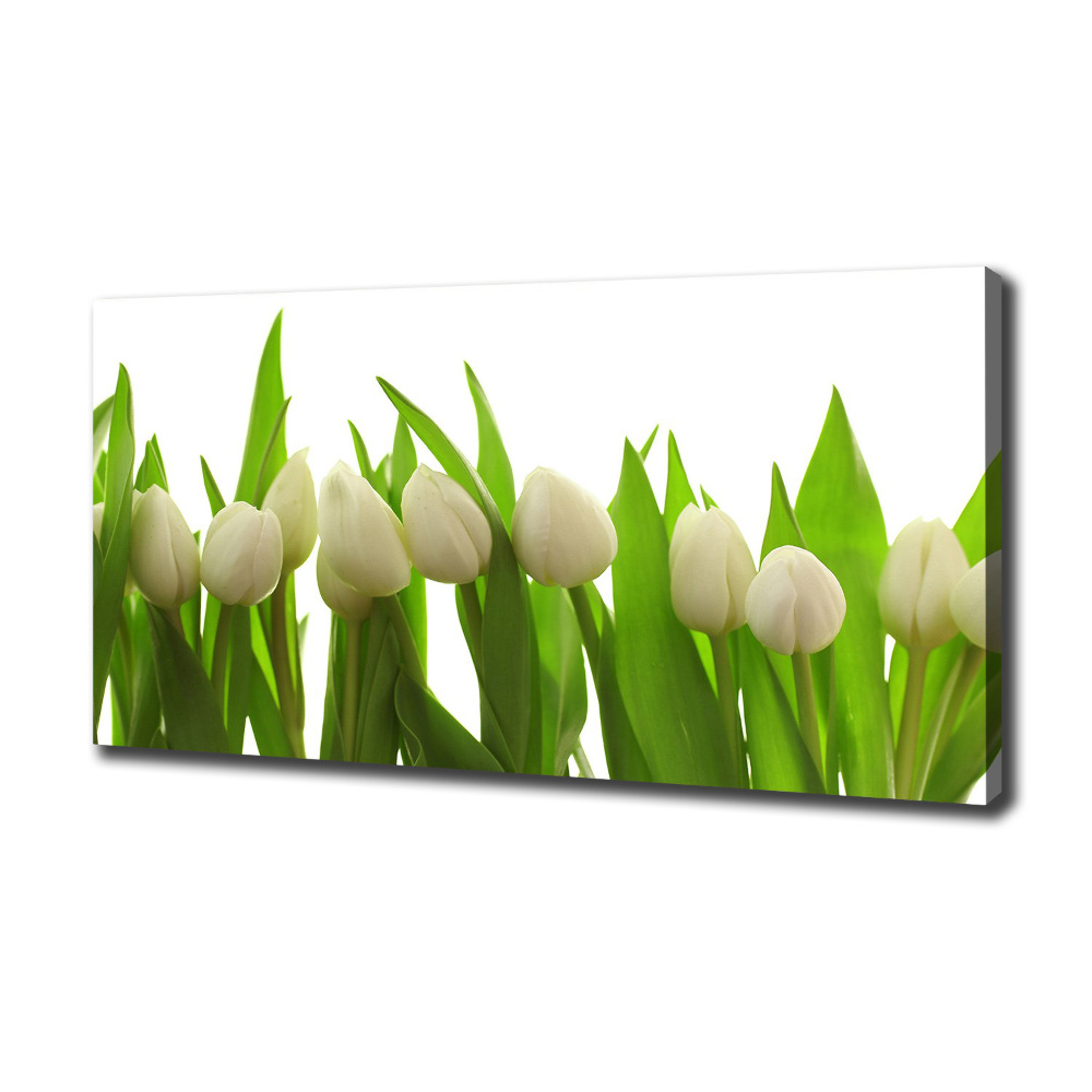 Canvas wall art White tulips