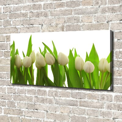 Canvas wall art White tulips