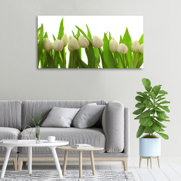 Canvas wall art White tulips