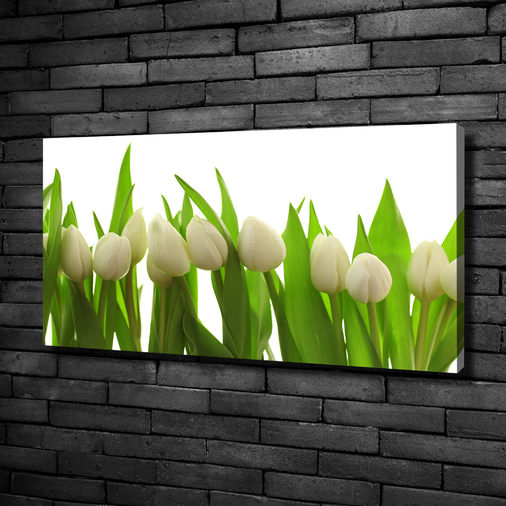 Canvas wall art White tulips