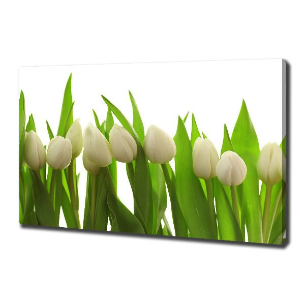 Canvas wall art White tulips