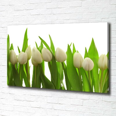 Canvas wall art White tulips