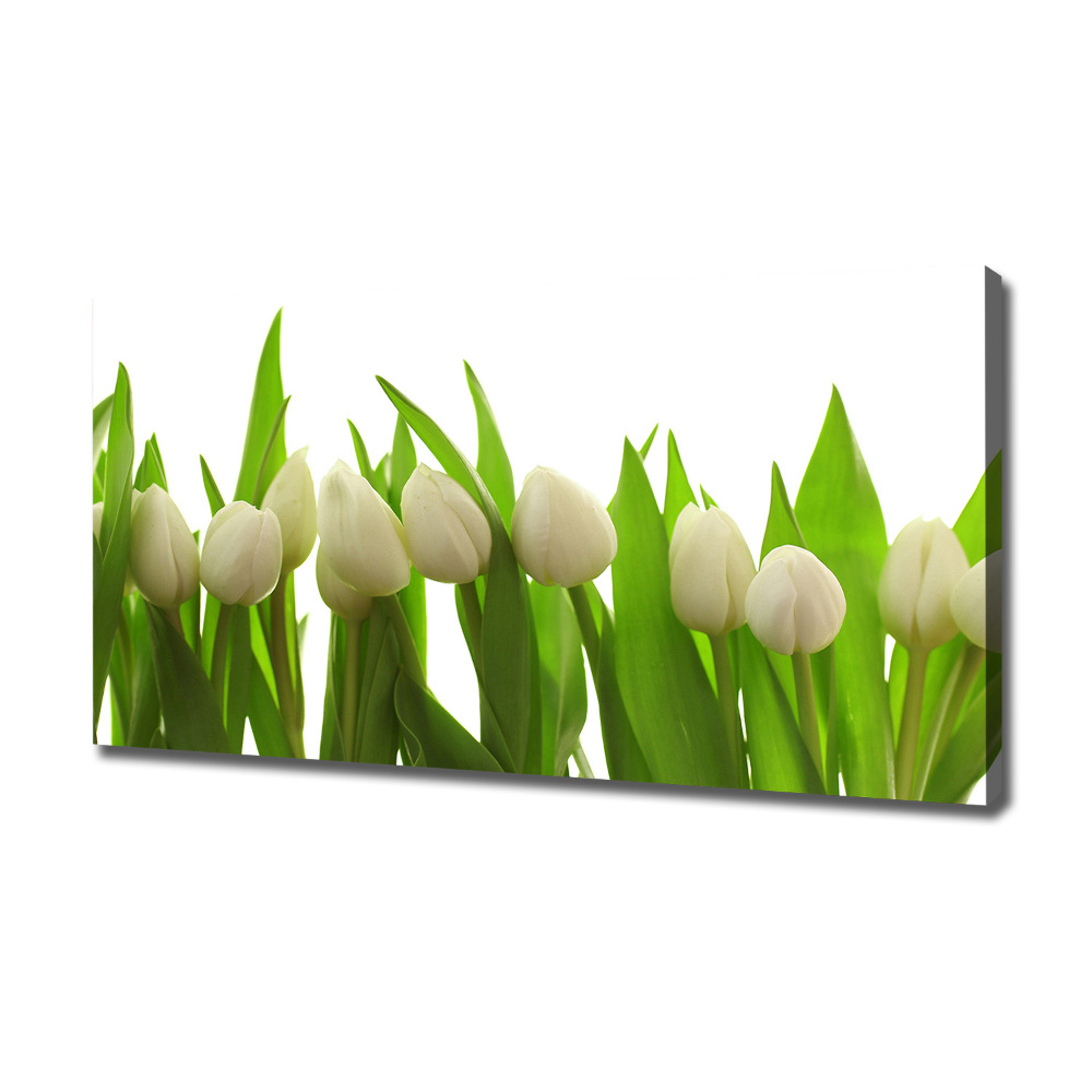 Canvas wall art White tulips