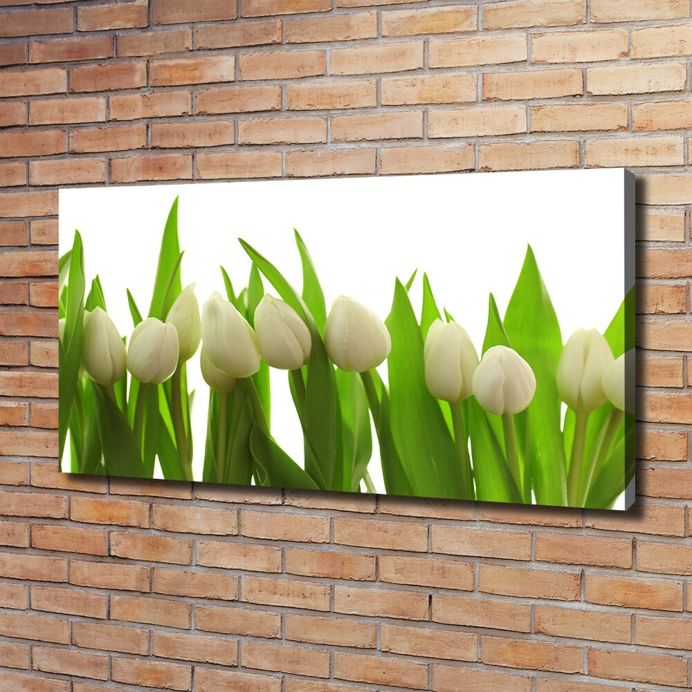 Canvas wall art White tulips