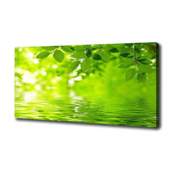 Canvas wall art Green leaves