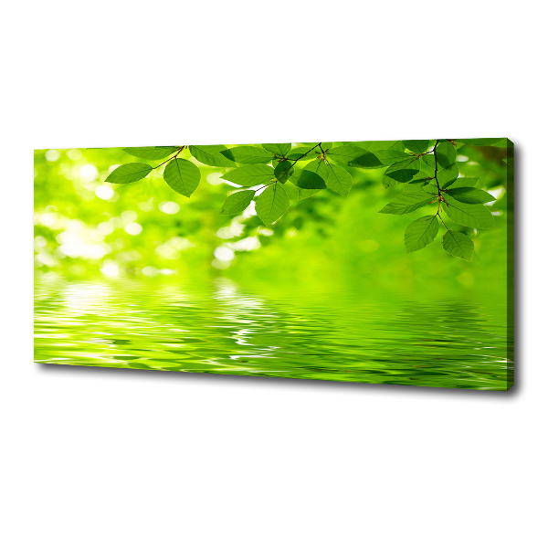 Canvas wall art Green leaves