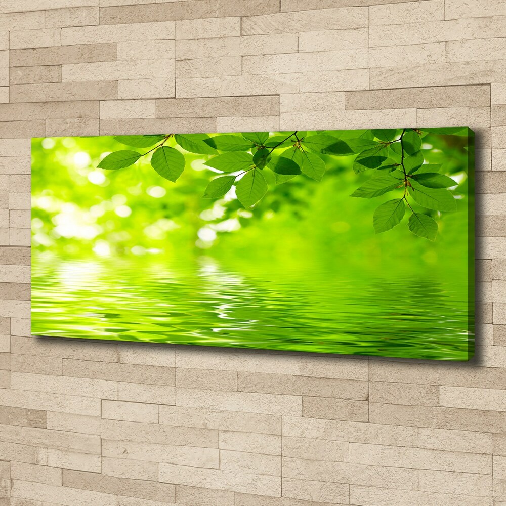 Canvas wall art Green leaves