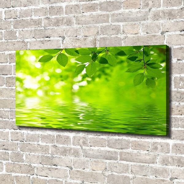 Canvas wall art Green leaves