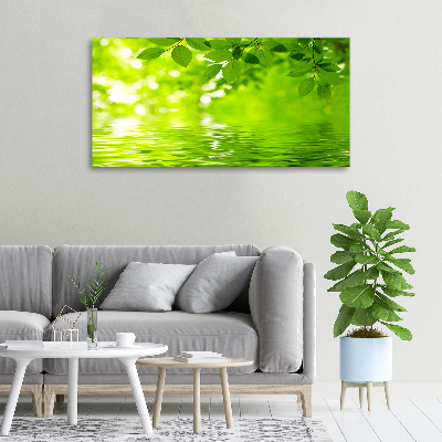 Canvas wall art Green leaves