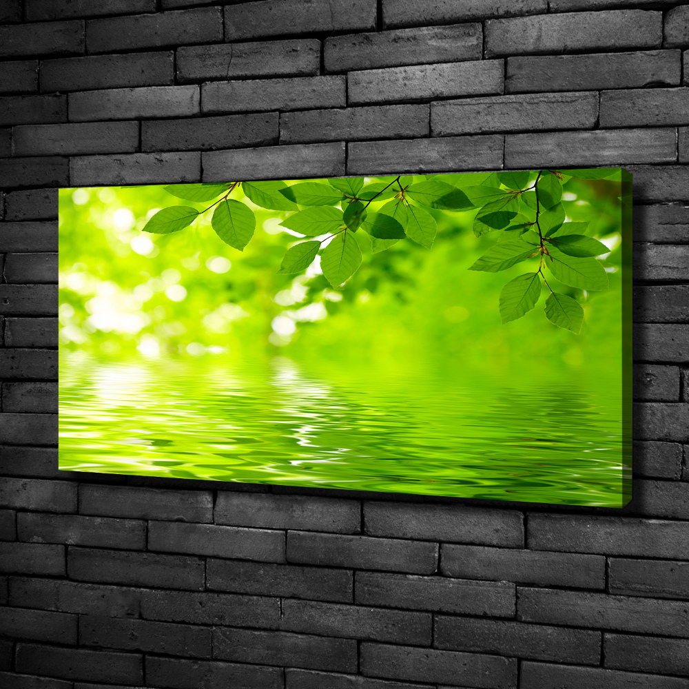 Canvas wall art Green leaves