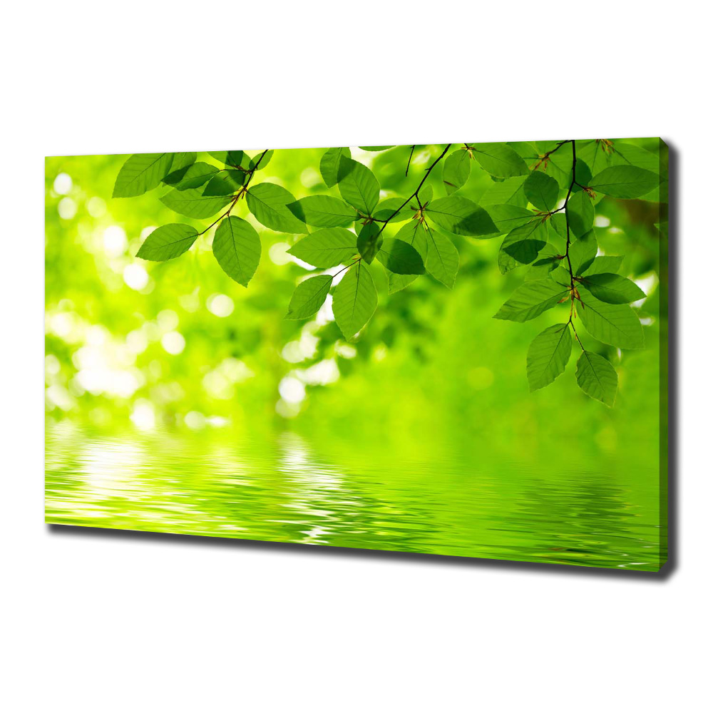 Canvas wall art Green leaves